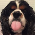 Bailey_McCreery - @bailey_mccreery4415 - Instagram