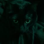 Bailey Mcdowell - @baileymcdowell615 - Instagram