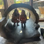 Bailey Mcdowell - @bbailey_mcdowell16 - Instagram