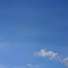 BaileyMcdowell - @baileymcdowellqjvvdfwe - TikTok