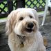 Bailey McDuff - Facebook