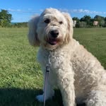 Bailey McGee - @bailthedood - Instagram