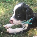 Bailey Mcgowan - @bailey__mcgowan - Instagram
