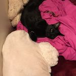 Bailey McGuire - @baileymcguire6158 - Instagram