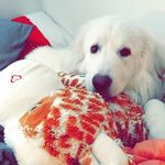 Bailey McGuire - @princessbayboo - Instagram