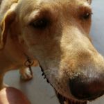 Bailey McLendon - @bailey_mcl_apes - Instagram
