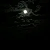 BaileyMelton - @jakubagz4r7 - TikTok