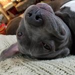 Julie Bailey Melton - @jmelton106 - Instagram