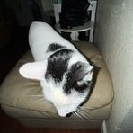 Bailey Newton - Facebook