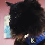 Bailey Osborne - @bail.eybug10 - Instagram