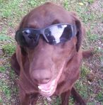 Bailey Osborne - Facebook