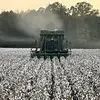 BP - @baileyparker21712 - TikTok