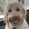 bailey - @bailey.patterson - TikTok