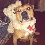 Bailey Potts - @baileybo3 - Instagram
