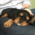 Bailey Eclair Powers - @bailey_powers11 - Instagram