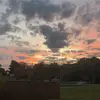 Bailey - @bailey_riggs2009 - TikTok
