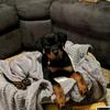 Bailey and Sargent - @bailey_sargent - TikTok