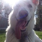 Bailey Sargent - @baileygsd21 - Instagram