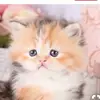 Bailey Schneider - @bailey_9109 - TikTok