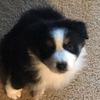 baileyschultz_ - @baileyschultz_ - TikTok