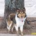 Bailey Shelton - Facebook