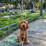 Bailey Sherman Upiter - @bailey.shupiter - Instagram