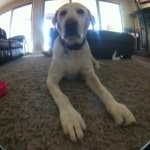 Bailey | Short - @bailey_short - Instagram