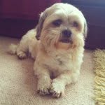 Bailey Short - @bailey_chops - Instagram