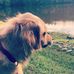 Bailey Sims - Facebook