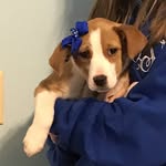 Bailey Sims - @baileysims925 - Instagram