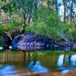 bailey solomon - @solophotography4754 - Instagram