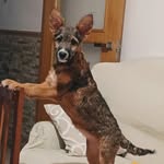 Bailey Sosa Medina - @bailey_sosa_medina - Instagram