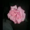 BaileySosa - @yhiisentvp3 - TikTok