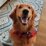 @bailey_spalding_ - Instagram
