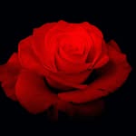 baileyspry - @baileyspry1 - Instagram