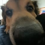 Bailey Spurgeon - @ms.snuggies - Instagram