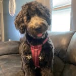 Bailey Stacy - @baileyboothebernadoo - Instagram