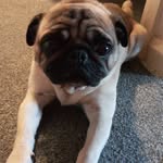 Bailey Steadman - @baileysteadman14 - Instagram