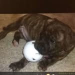Bailey Stelzer - @baileyjohn1 - Instagram