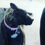 Bailey stokes - @bailey.stokes09 - Instagram