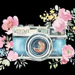 Bailey Streicher - @wildflower_photography29801 - Instagram