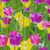 bailey_strunk_idc - @bailey_strunk_idc - TikTok