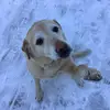 user8916400526270 - @baileystrunk02 - TikTok