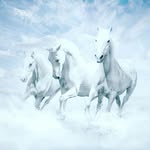 Bailey Studer - @studerbailey - Instagram