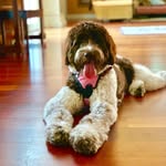 Bailey Sue - @bae_thebaileysud - Instagram