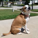 Bailey Sue - @bailey.sue.official - Instagram