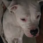 Bailey Sue - Facebook