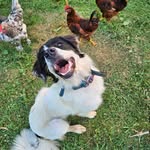 Bailey Sue - @baileyandcheese - Instagram