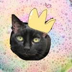 Bailey Sue - @baileybooslimes - Instagram