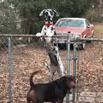 Bailey Sue - @bailey__sue - Instagram